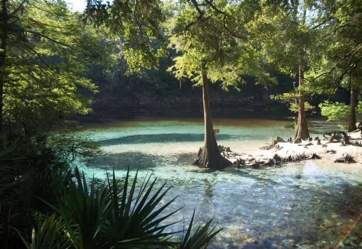 Madison Blue Spring, Florida.