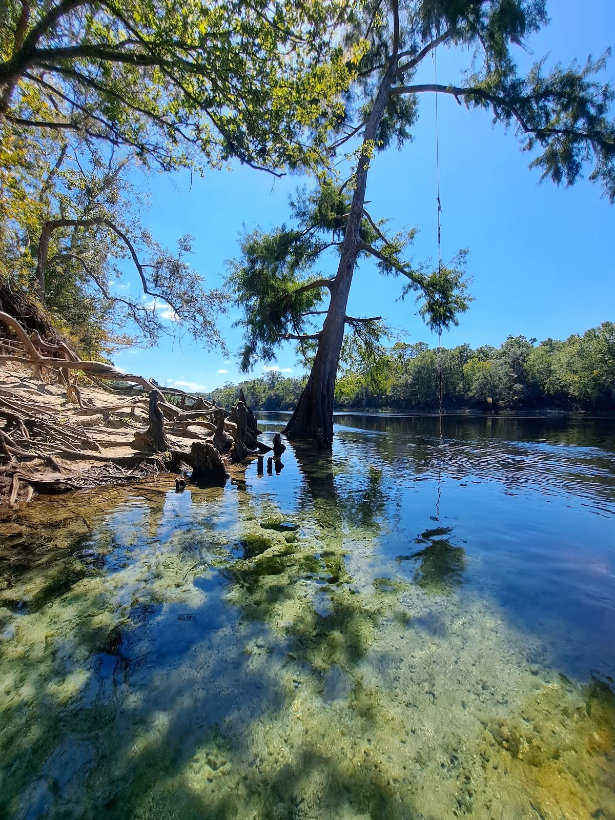 Royal Springs, Florida.