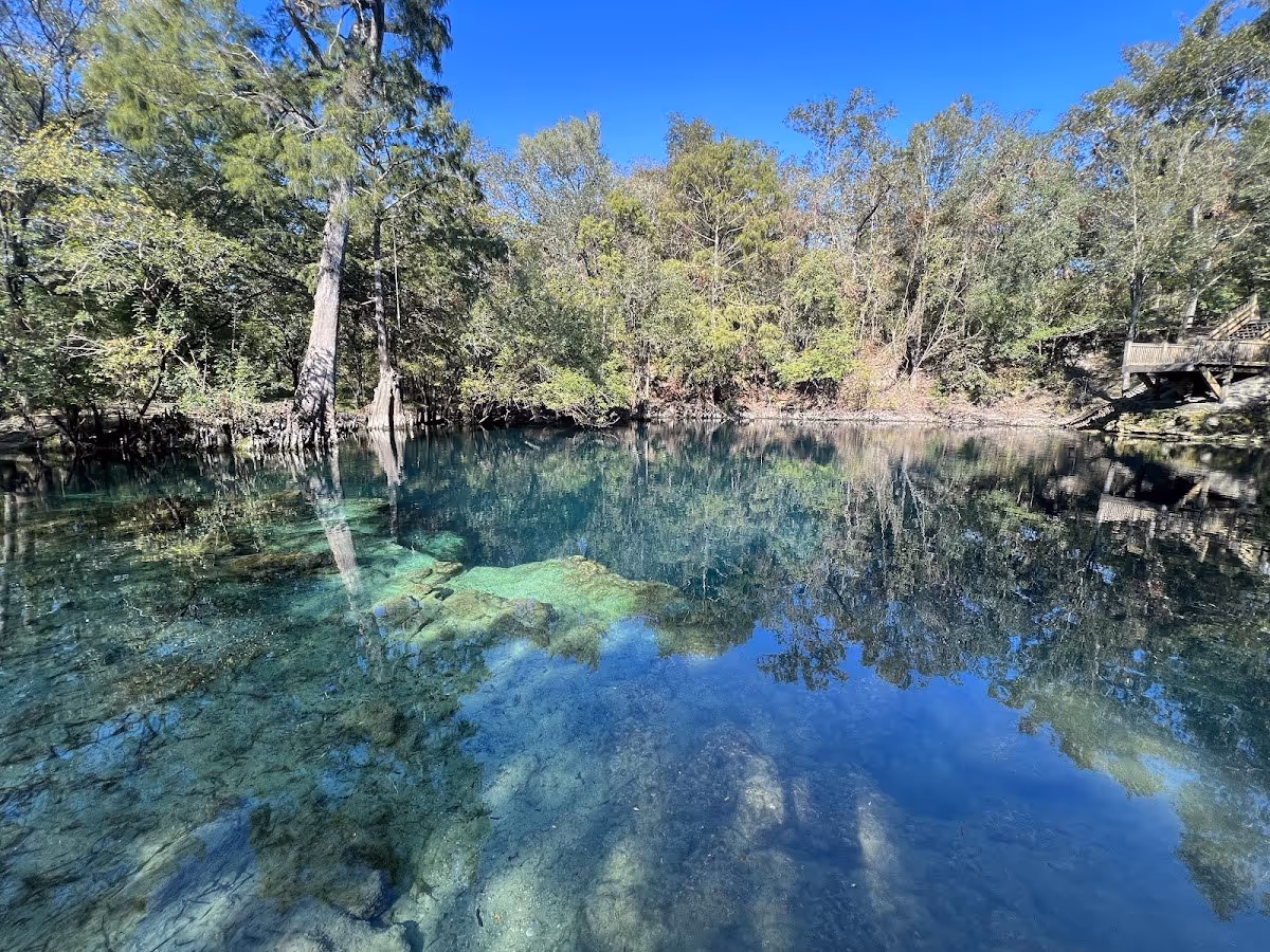 Royal Springs, Florida.