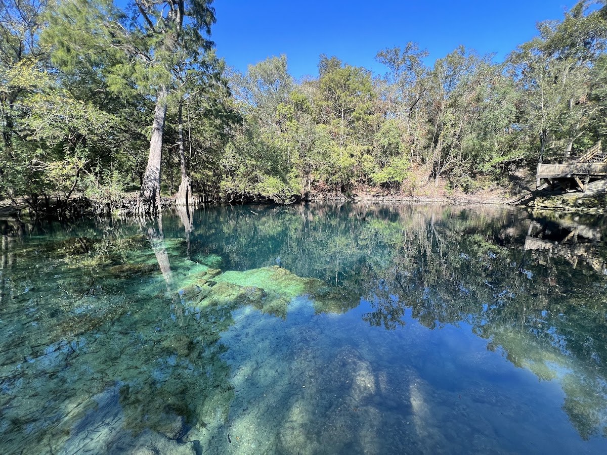 Royal Springs, Florida.