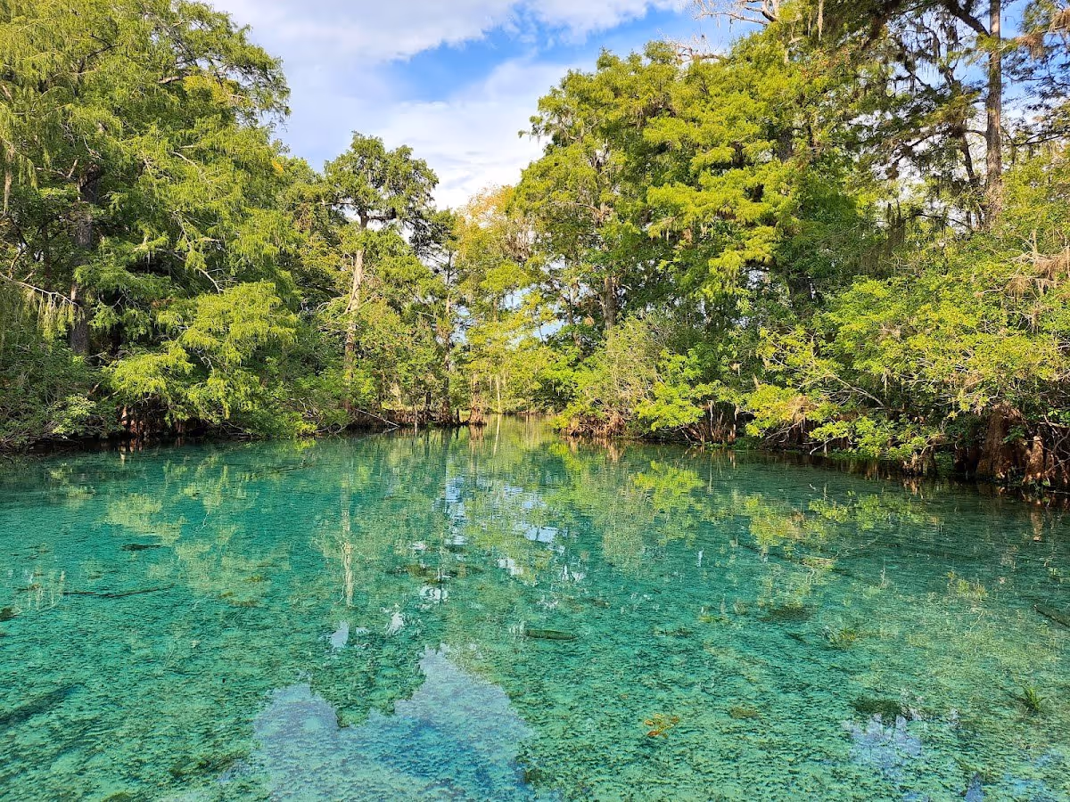 Fanning Springs, Florida.