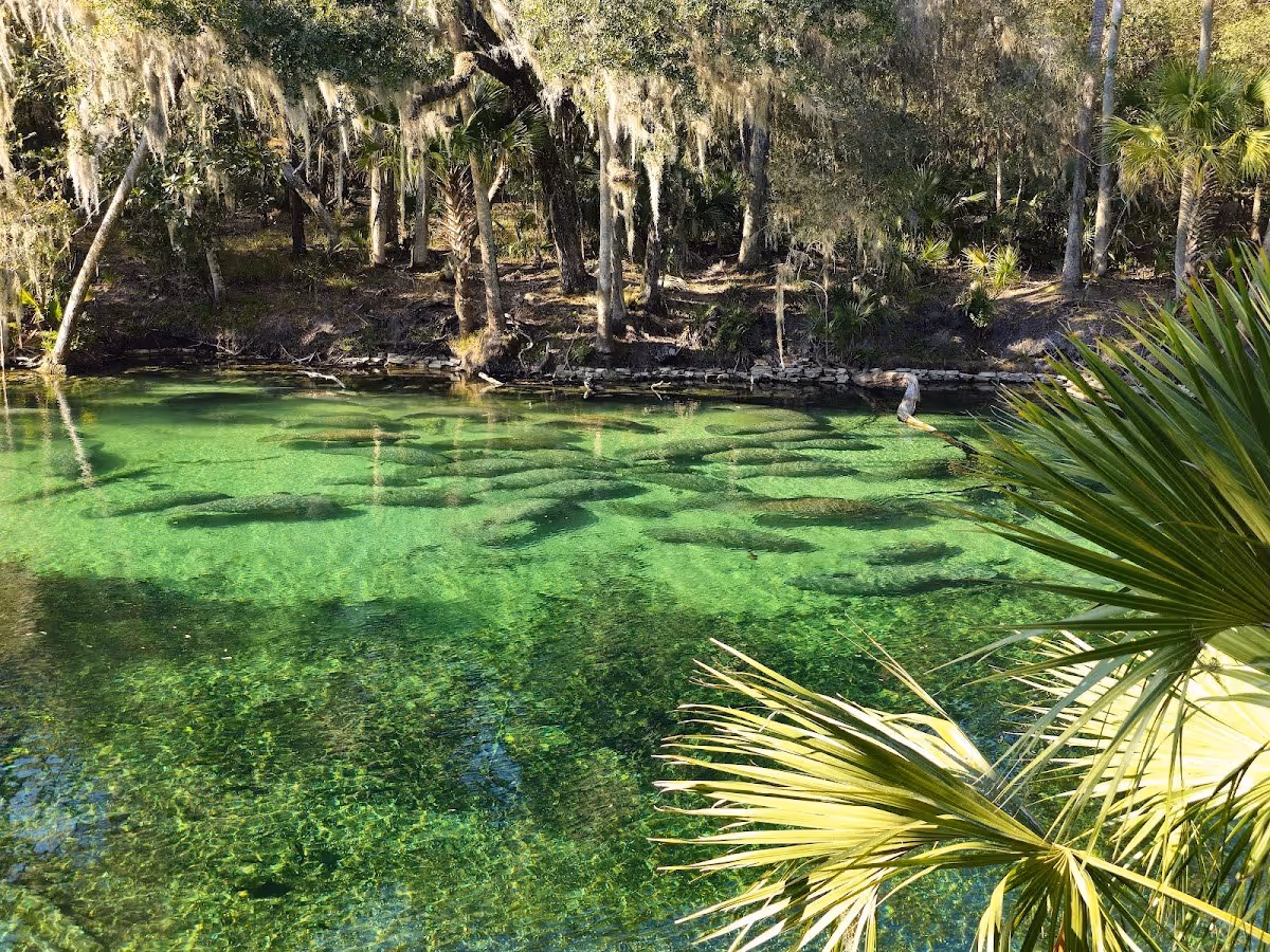 Blue Spring, Florida.