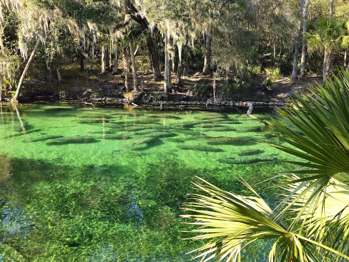 Blue Spring, Florida.