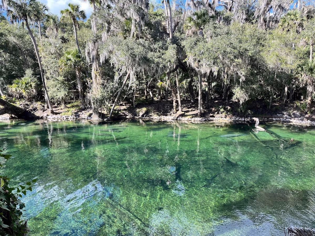 Blue Spring, Florida.