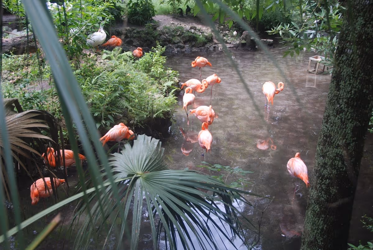 Homosassa Springs, Florida.