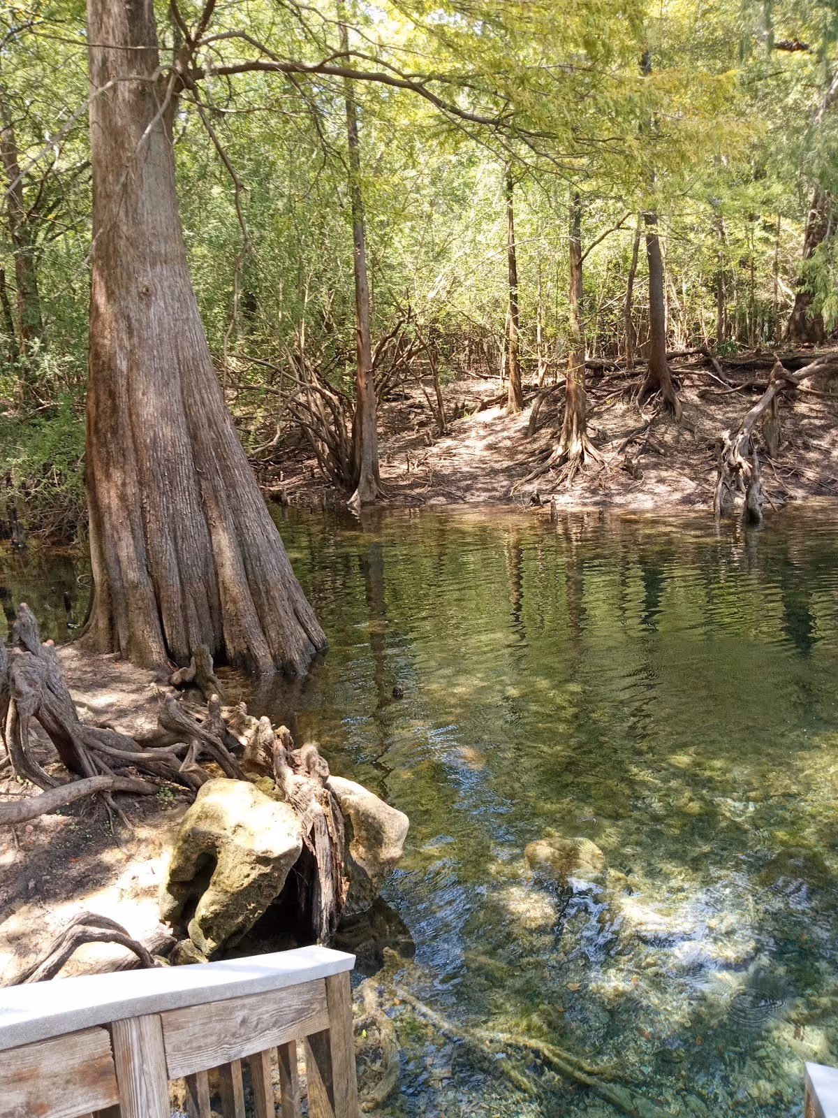 Troy Spring, Florida.
