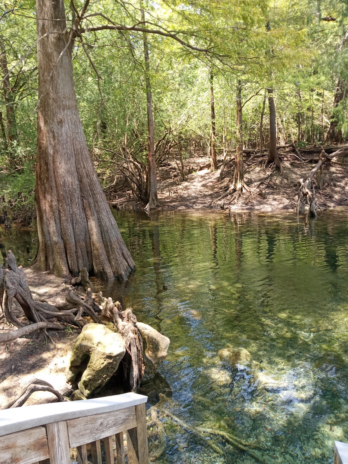Troy Spring, Florida.