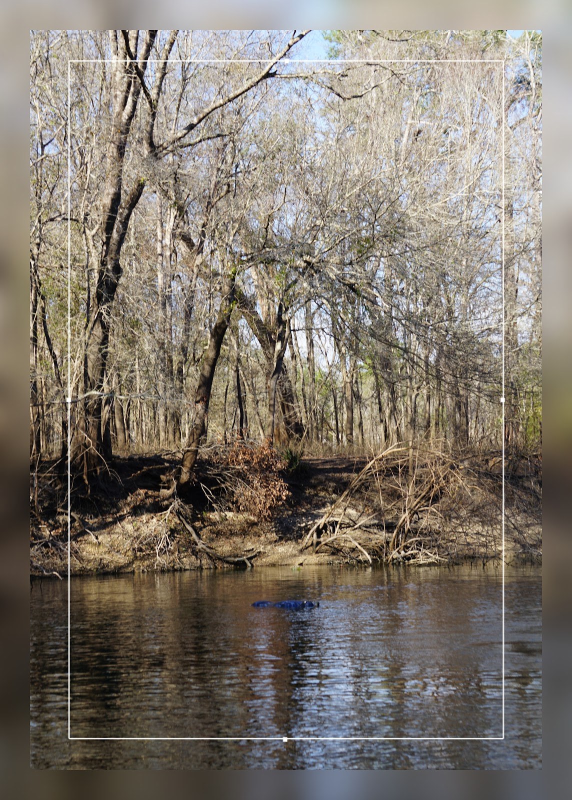 Troy Spring, Florida.