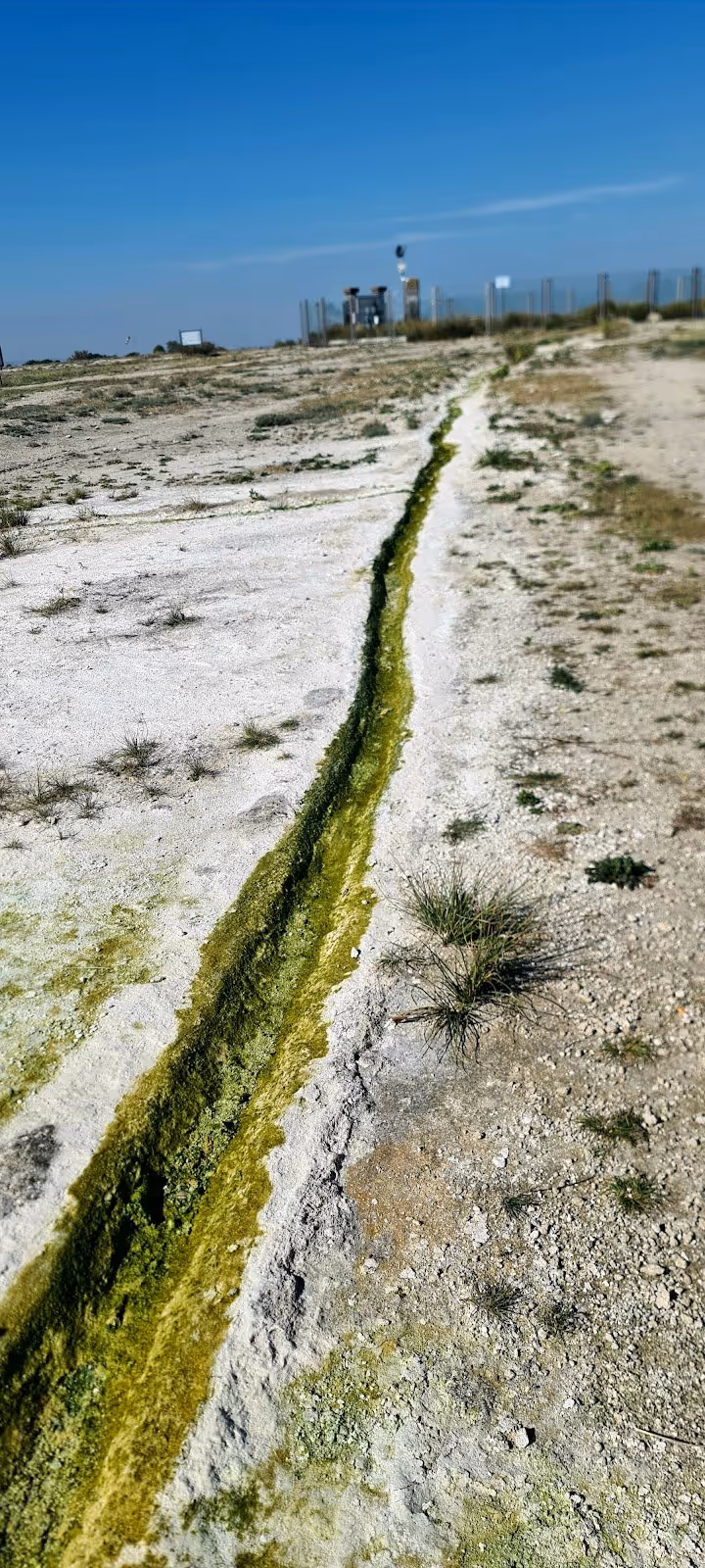 Bullicame Hot Springs, Italy.