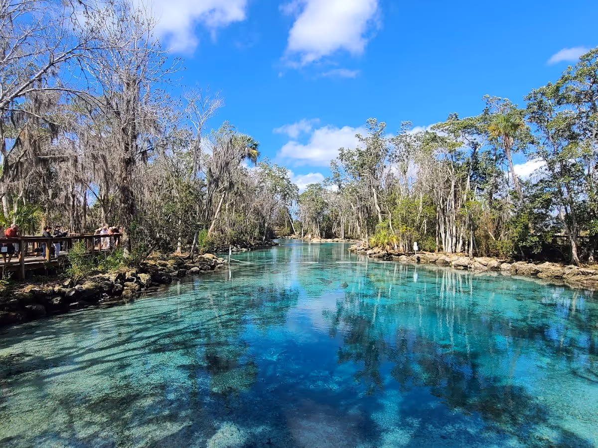 Three Sisters Springs, Florida.