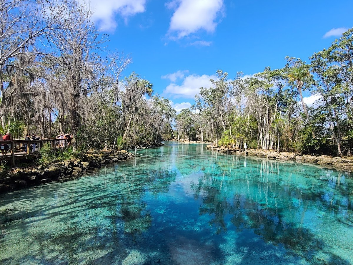 Three Sisters Springs, Florida.