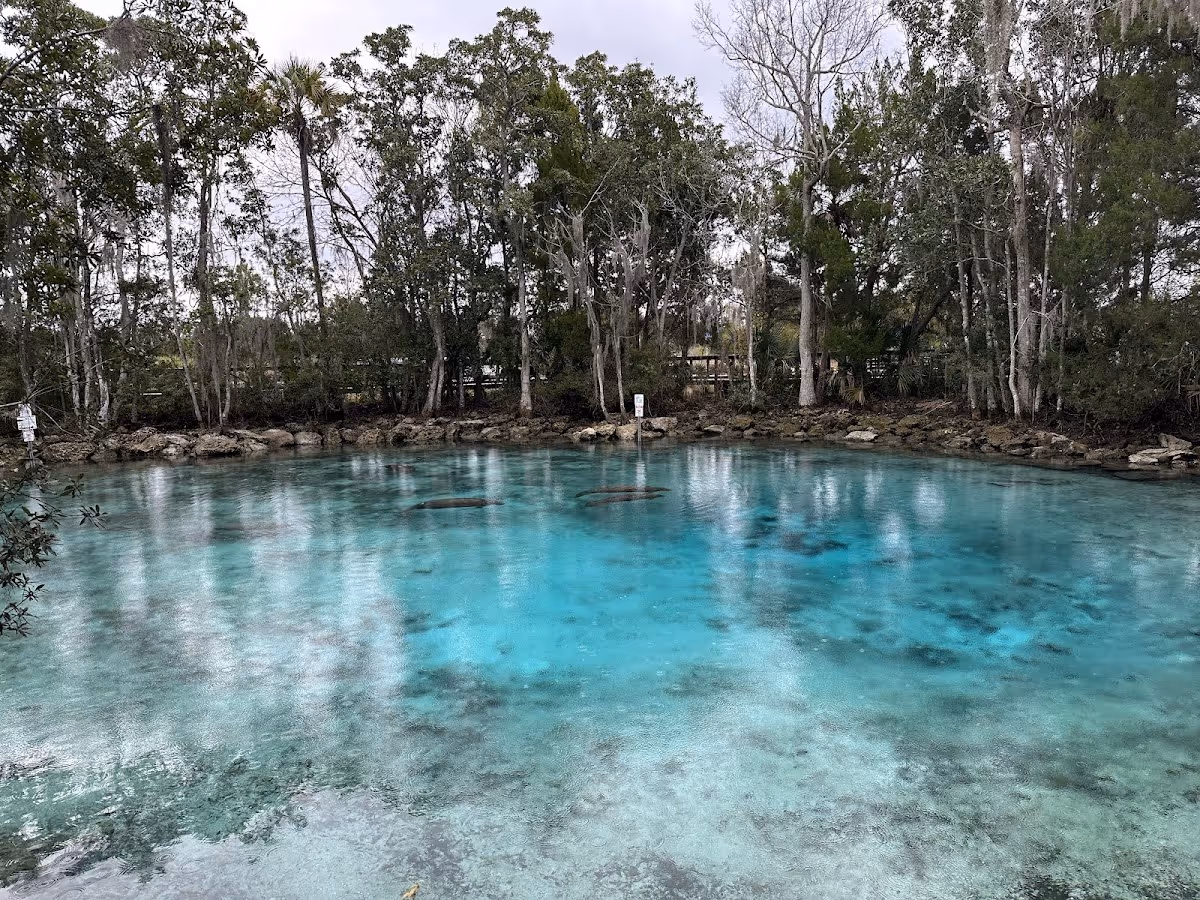 Three Sisters Springs, Florida.
