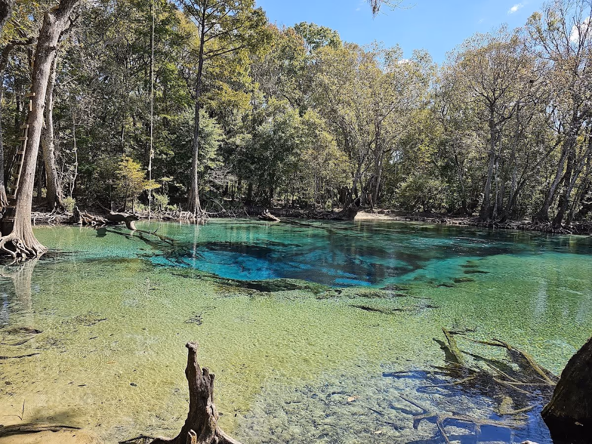 Cypress Springs, Florida.