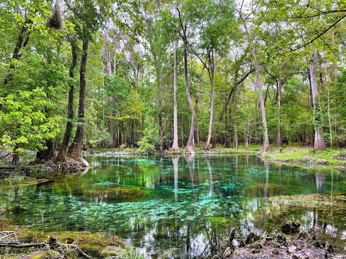 Gilchrist Blue Springs, Florida.