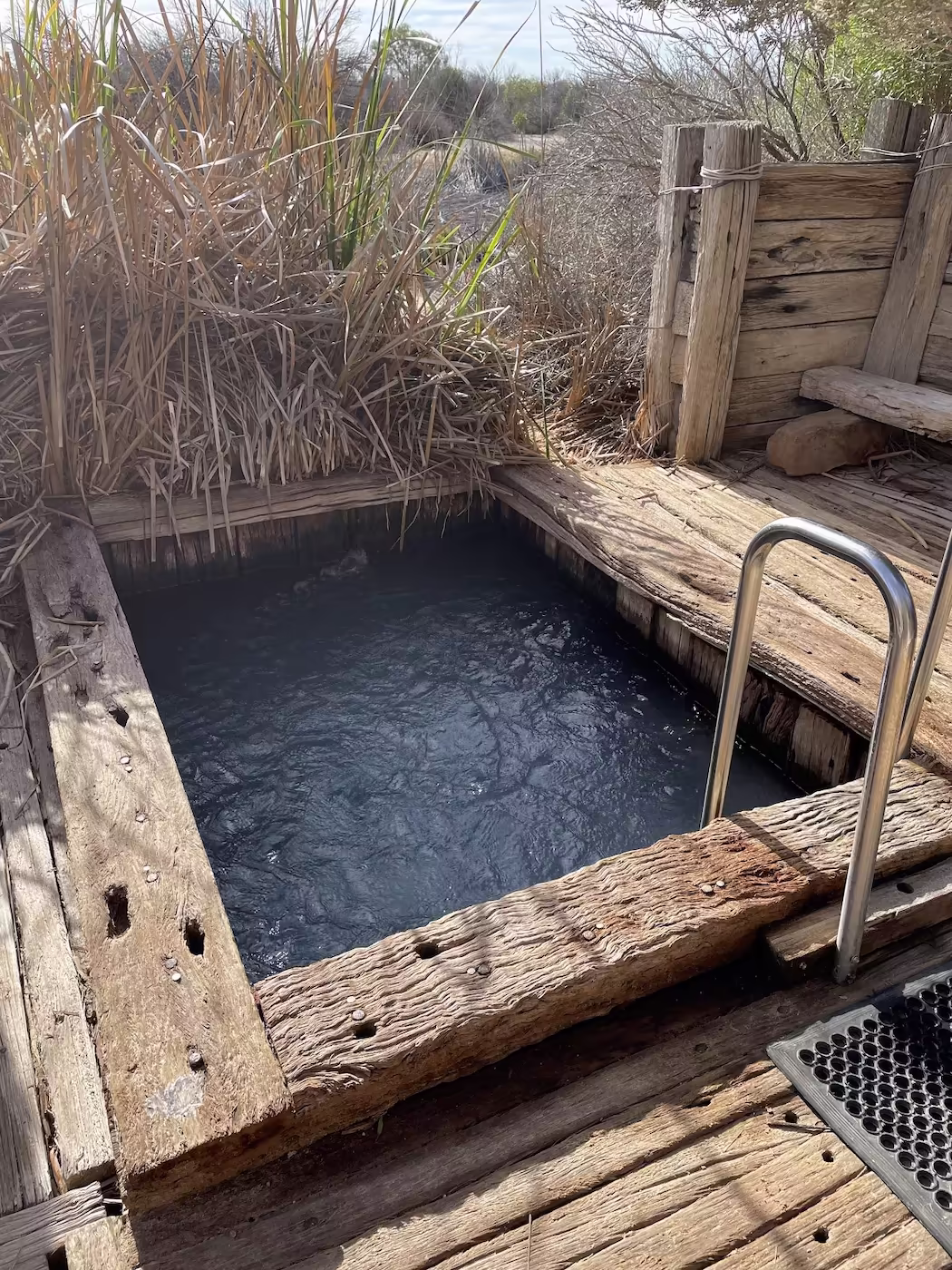 small wooden hot spring pool surrounded by benches and tall green reeds at Coward Springs Campground spa near William C