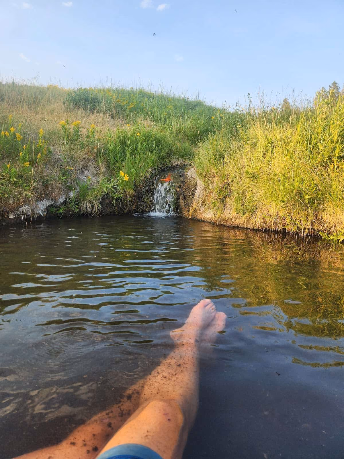 Polecat Hot Springs Wyoming - NPS-prohibited spring near Flagg Ranch John D. Rockefeller Parkway