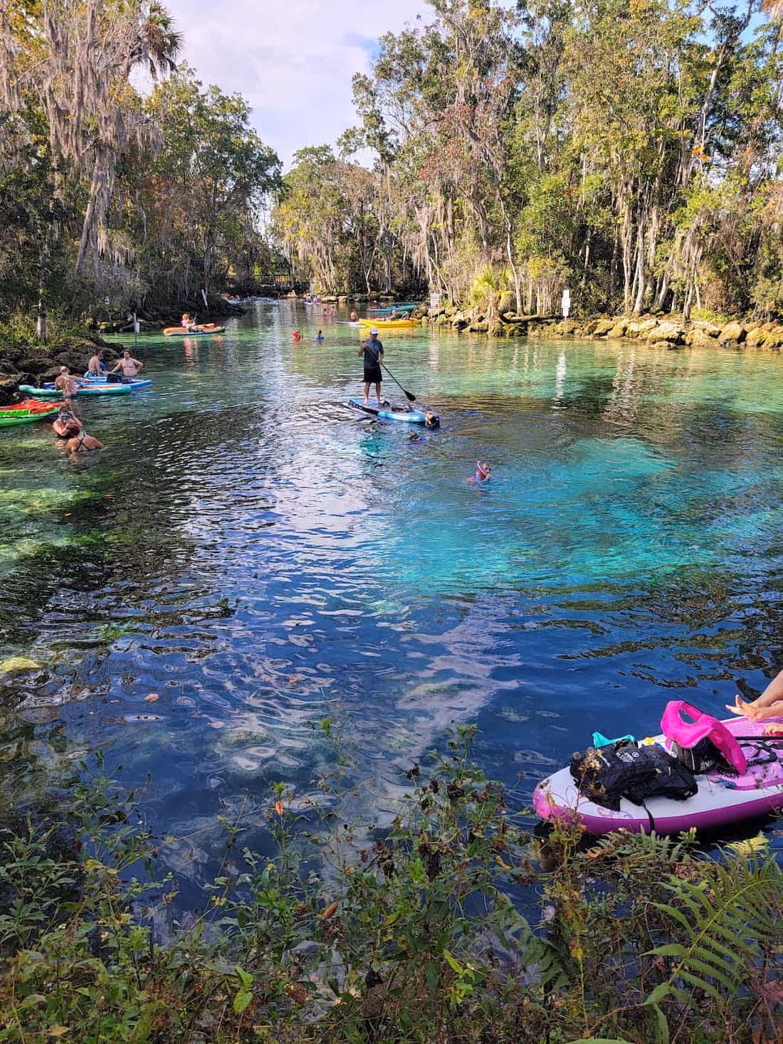 Three Sisters Springs, Florida - turquoise spring basin with manatees and sandy boils