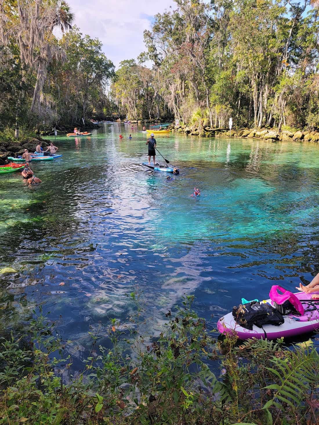 Three Sisters Springs, Florida - turquoise spring basin with manatees and sandy boils