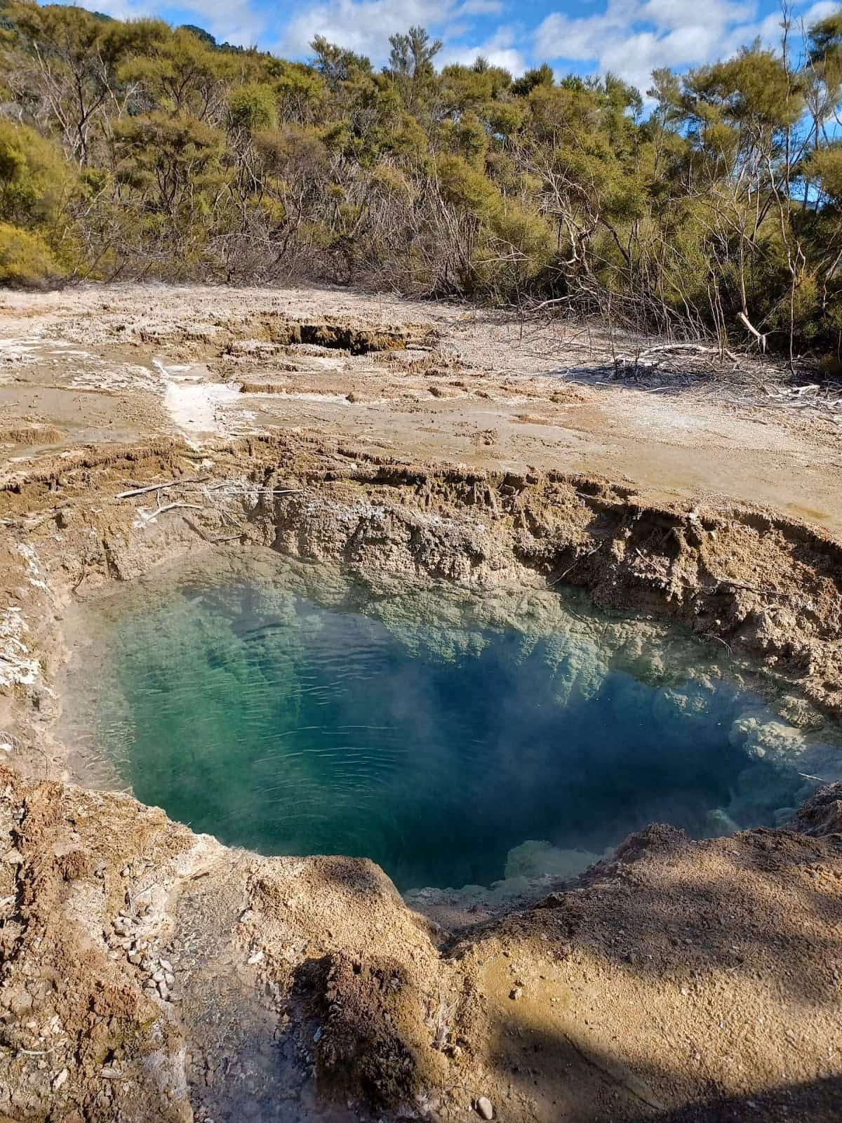 Tokaanu Thermal Pools, New Zealand - mineral pools and public pool in native bush on Lake Taupo