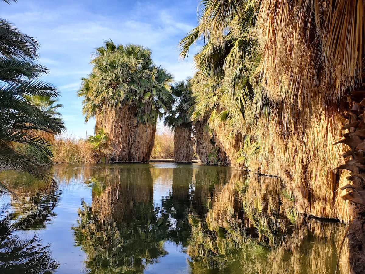 Holtville Hot Springs, California - two concrete artesian mineral pools in a palm-lined desert oasis beside Interstate 8 near Holtville Imperial Valley