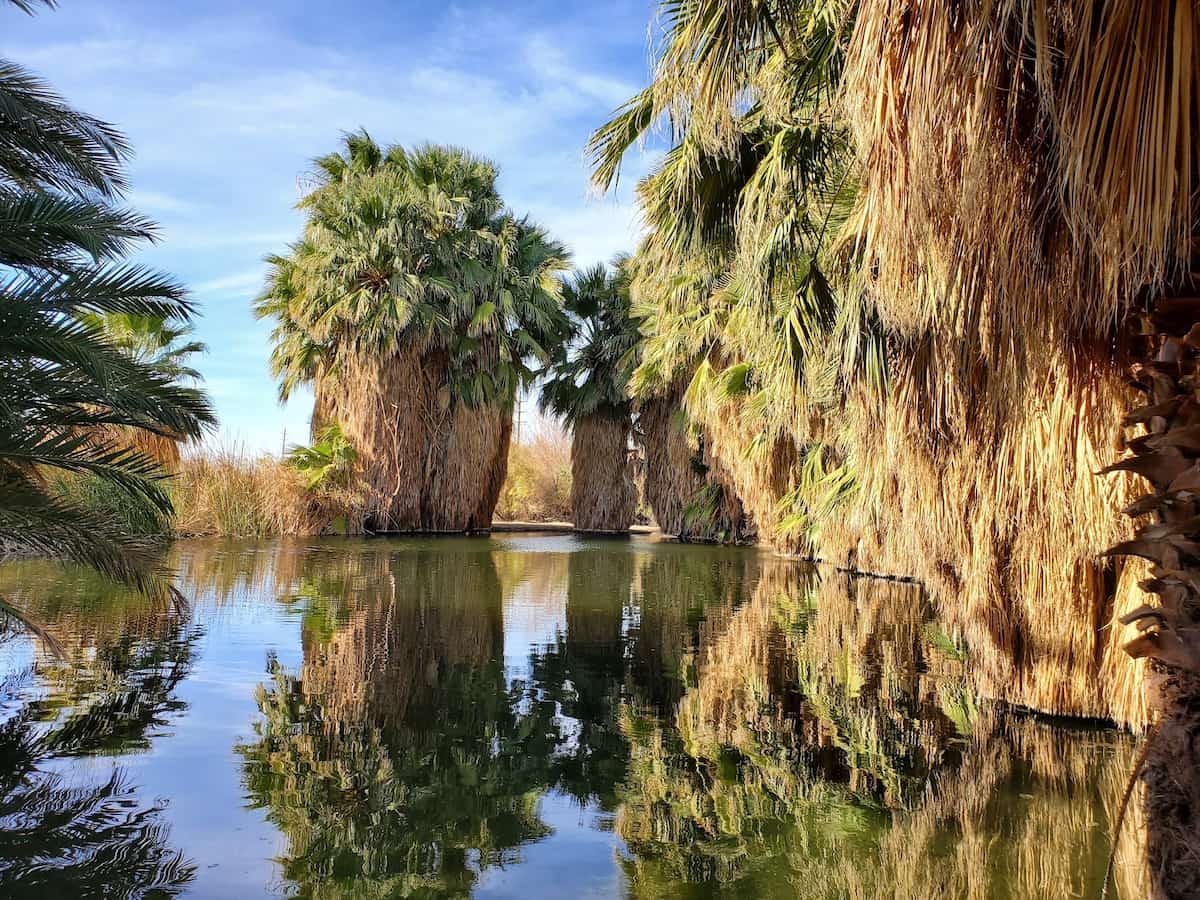 Holtville Hot Springs, California - two concrete artesian mineral pools in a palm-lined desert oasis beside Interstate 8 near Holtville Imperial Valley