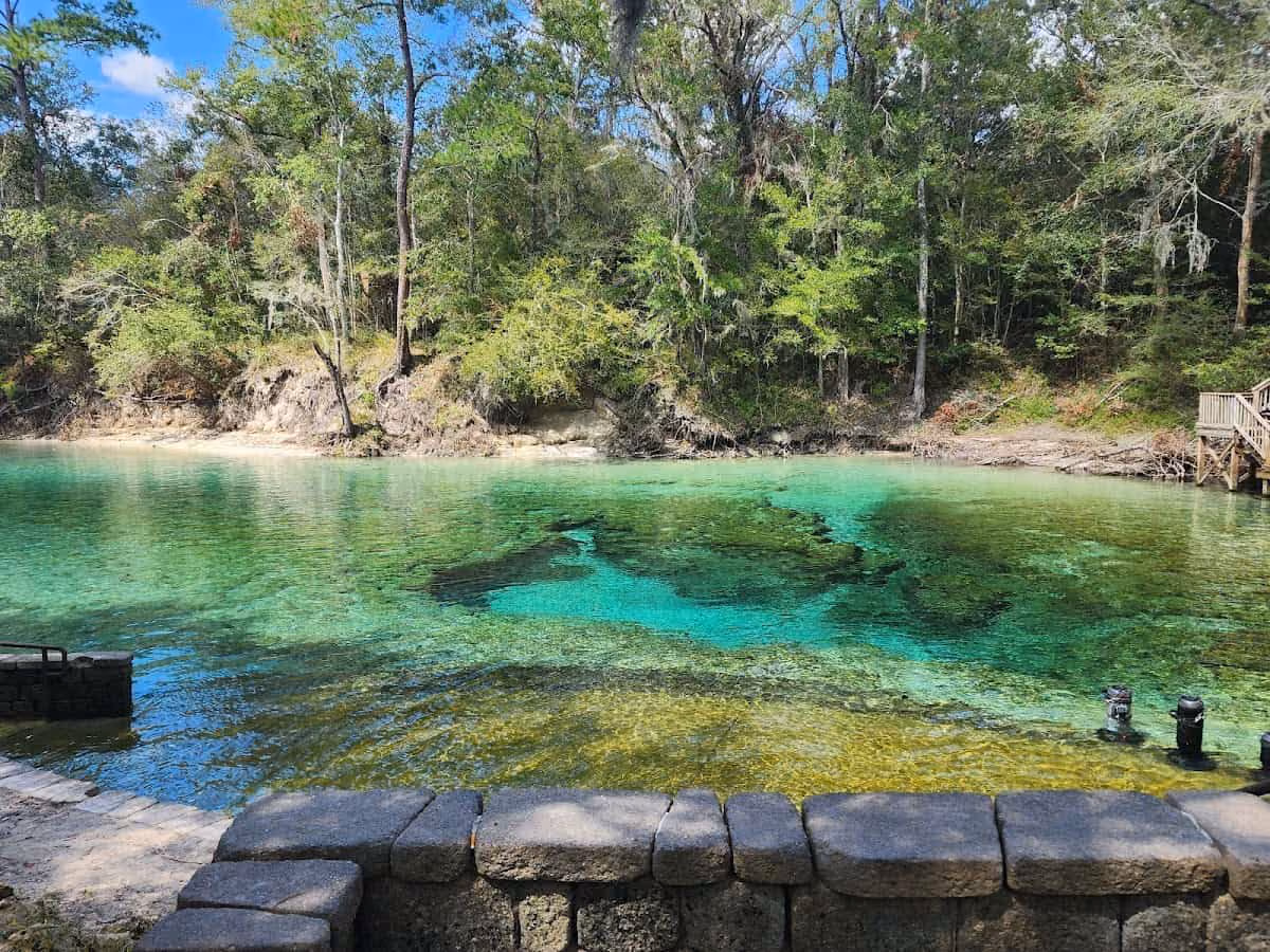Little River Springs, Florida - spring pool with limestone shelf at the Suwannee River