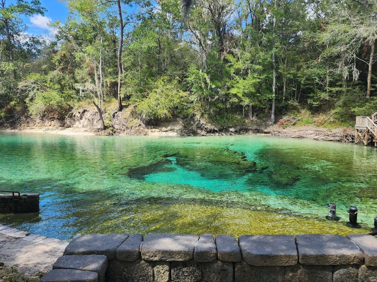 Little River Springs, Florida - spring pool with limestone shelf at the Suwannee River