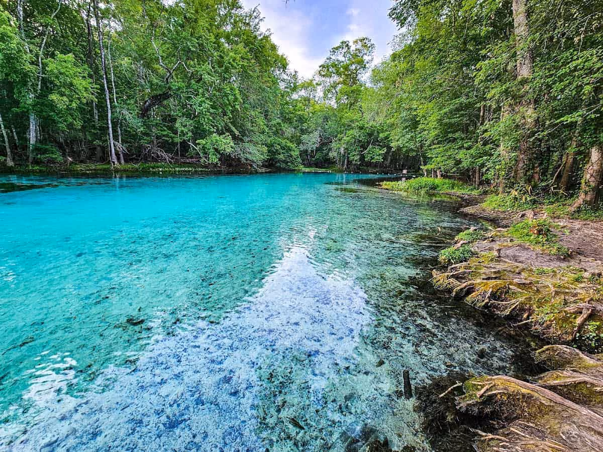 Gilchrist Blue Springs, Florida - turquoise spring basin with sandy beach and cypress trees at edge