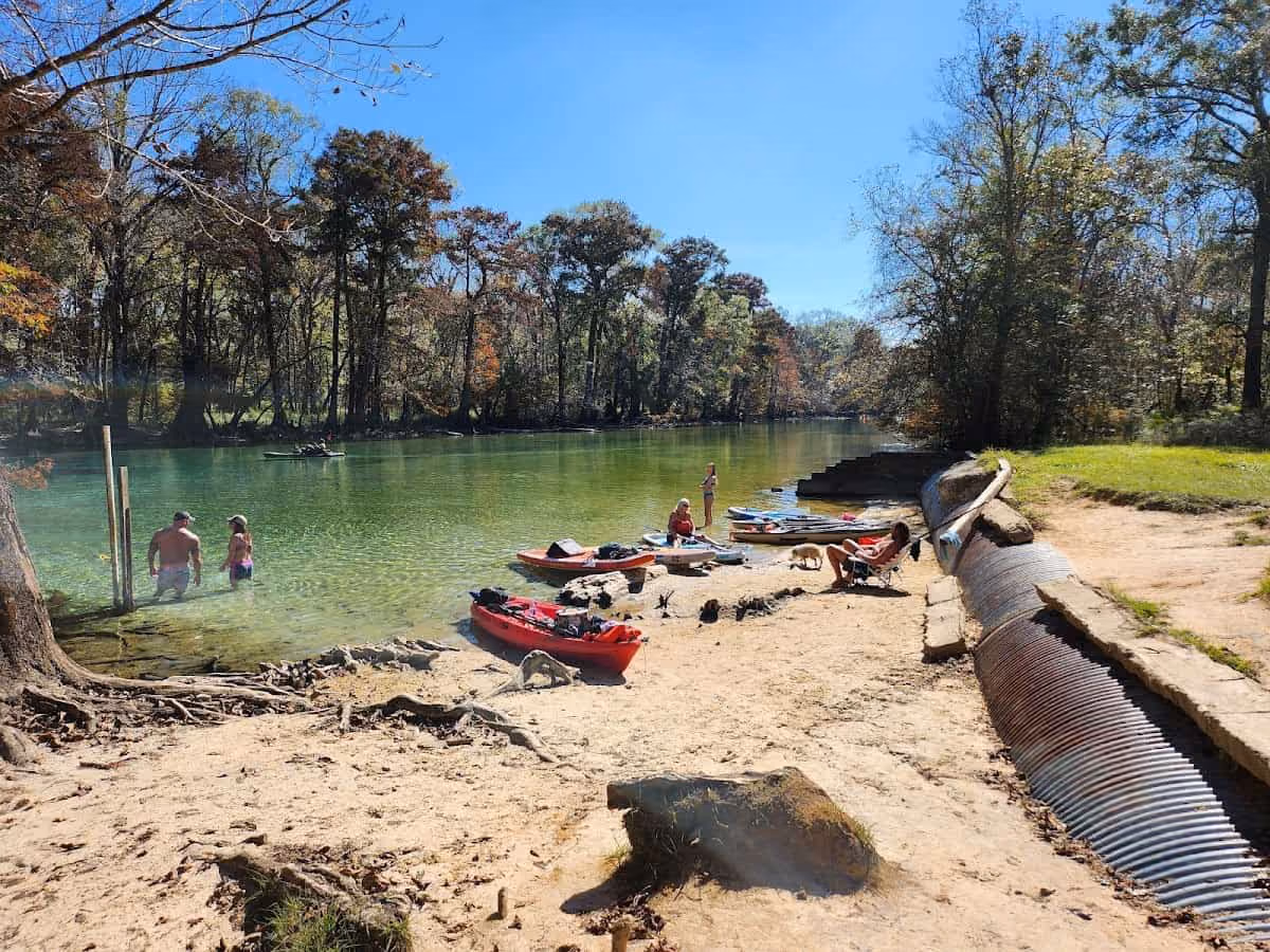 Cypress Springs, Florida - clear spring basin ringed by cypress trees on Holmes Creek