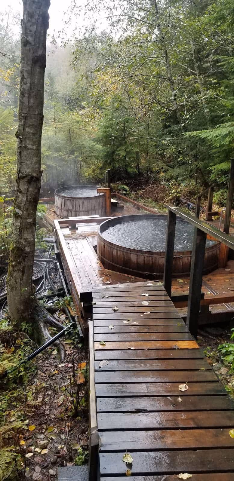Hlgu Isgwit Hot Springs, Canada - cedar soaking tubs on a forested boardwalk in the Nass Valley