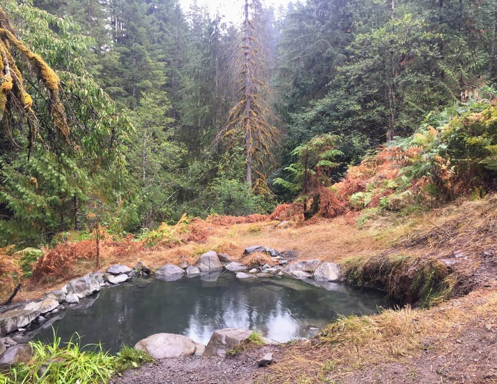 Outdoor primitive hot spring pool on mountainside in a forest in olympic hot springs washington