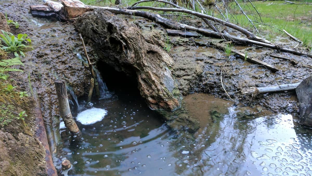Mineral spring dropping into a pool at ohanapecosh hot springs washington