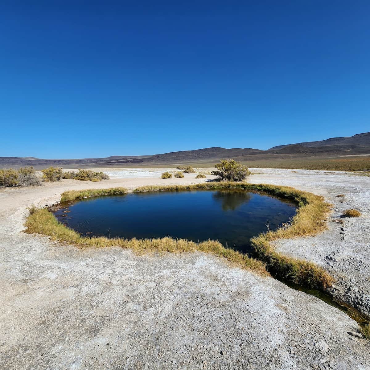 Hot spring pool in a desert setting at mickey hot springs oregon