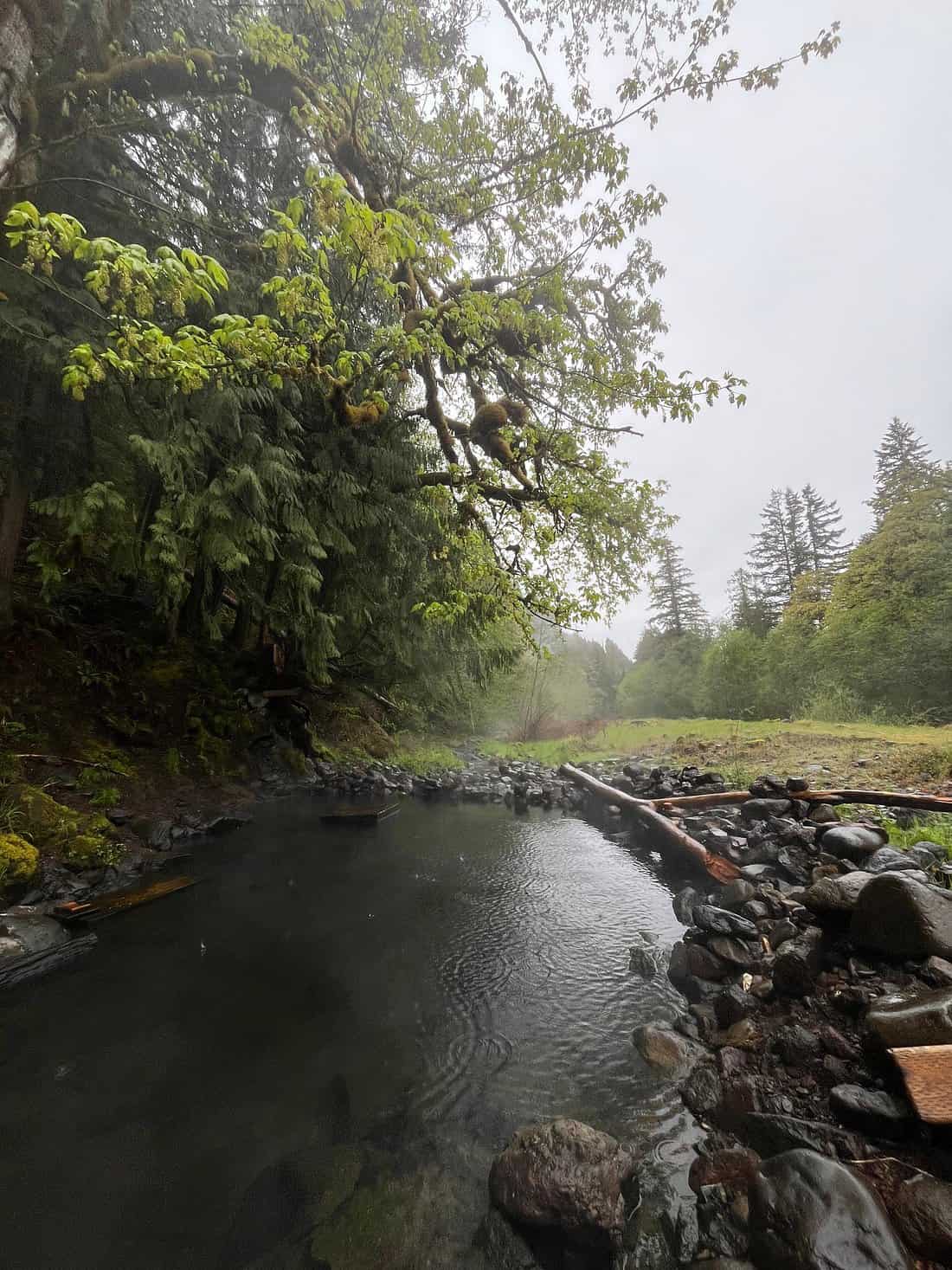 Natural hot spring pool under the shade of trees at austin hot springs oregon