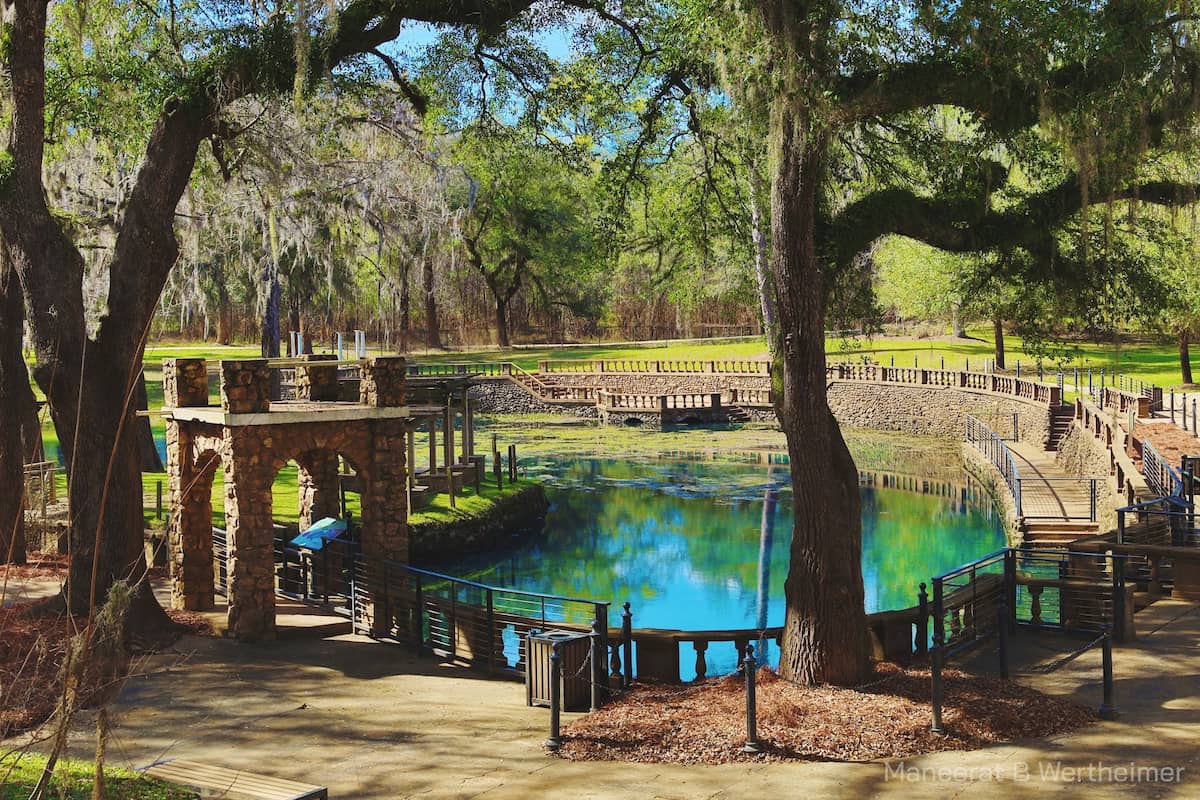 Outdoor hot spring pool with turquoise water surrounded by lush greenery at radium springs georgia