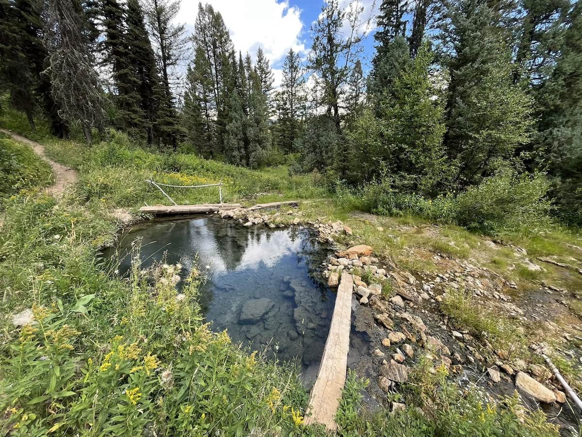 natural hot spring pool in a forest meadow in bear creek hot spring idaho