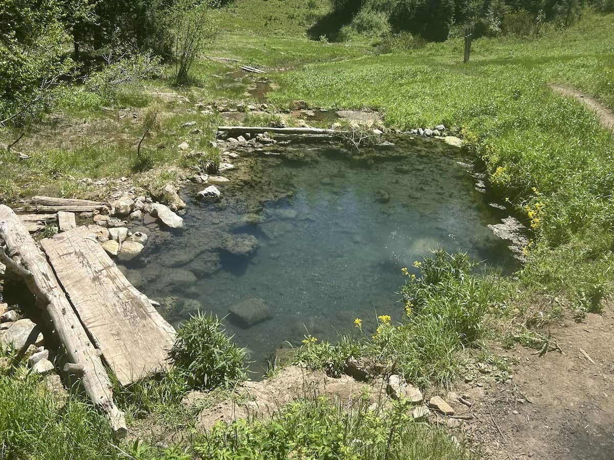 natural hot spring pool in a natural forest setting at bear creek hot spring idaho