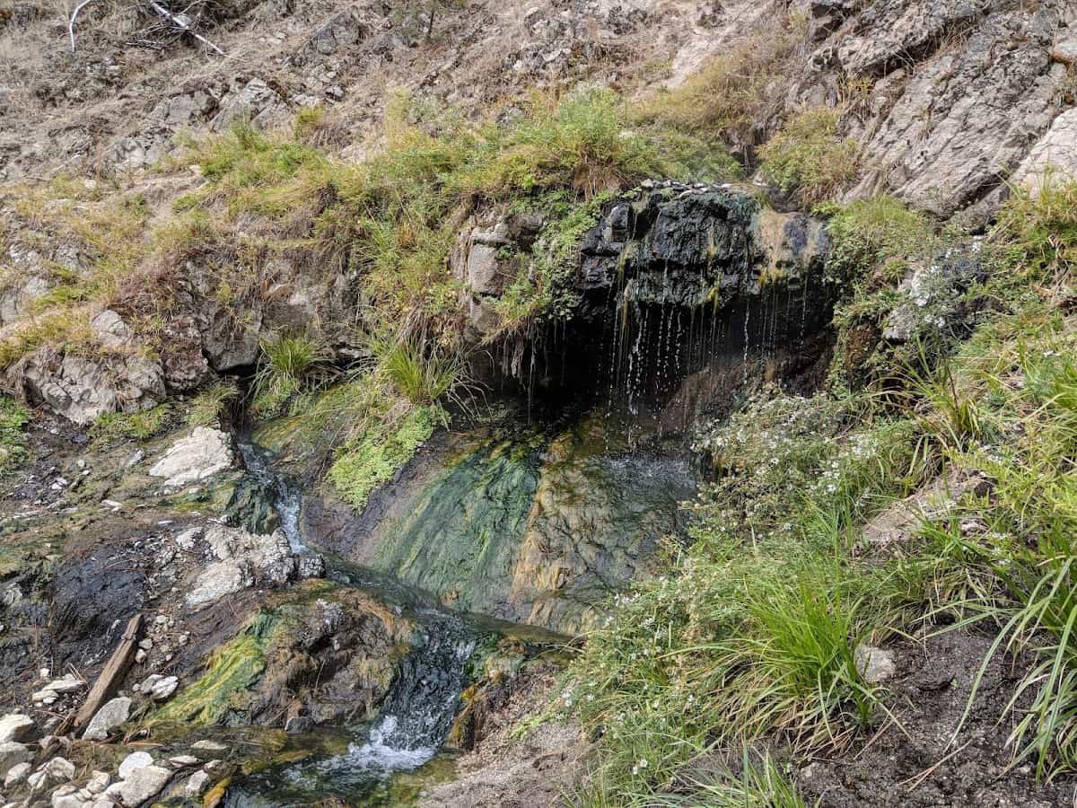 travertine hillside natural hot spring at coyote hot spring idaho