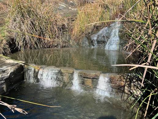 natural streaming hot spring pools surrounded by vegetation at little caliente hot springs california