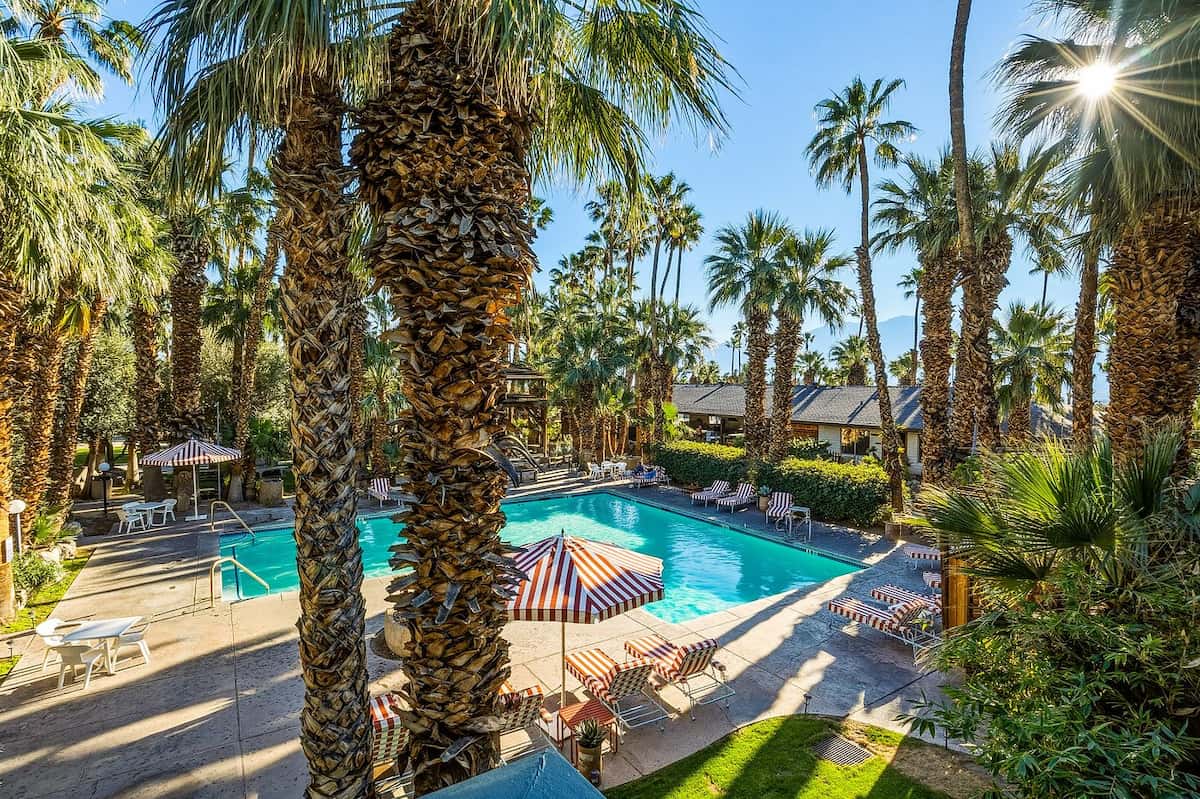 outdoor hot spring pools surrounded by palm trees at sam's family spa california
