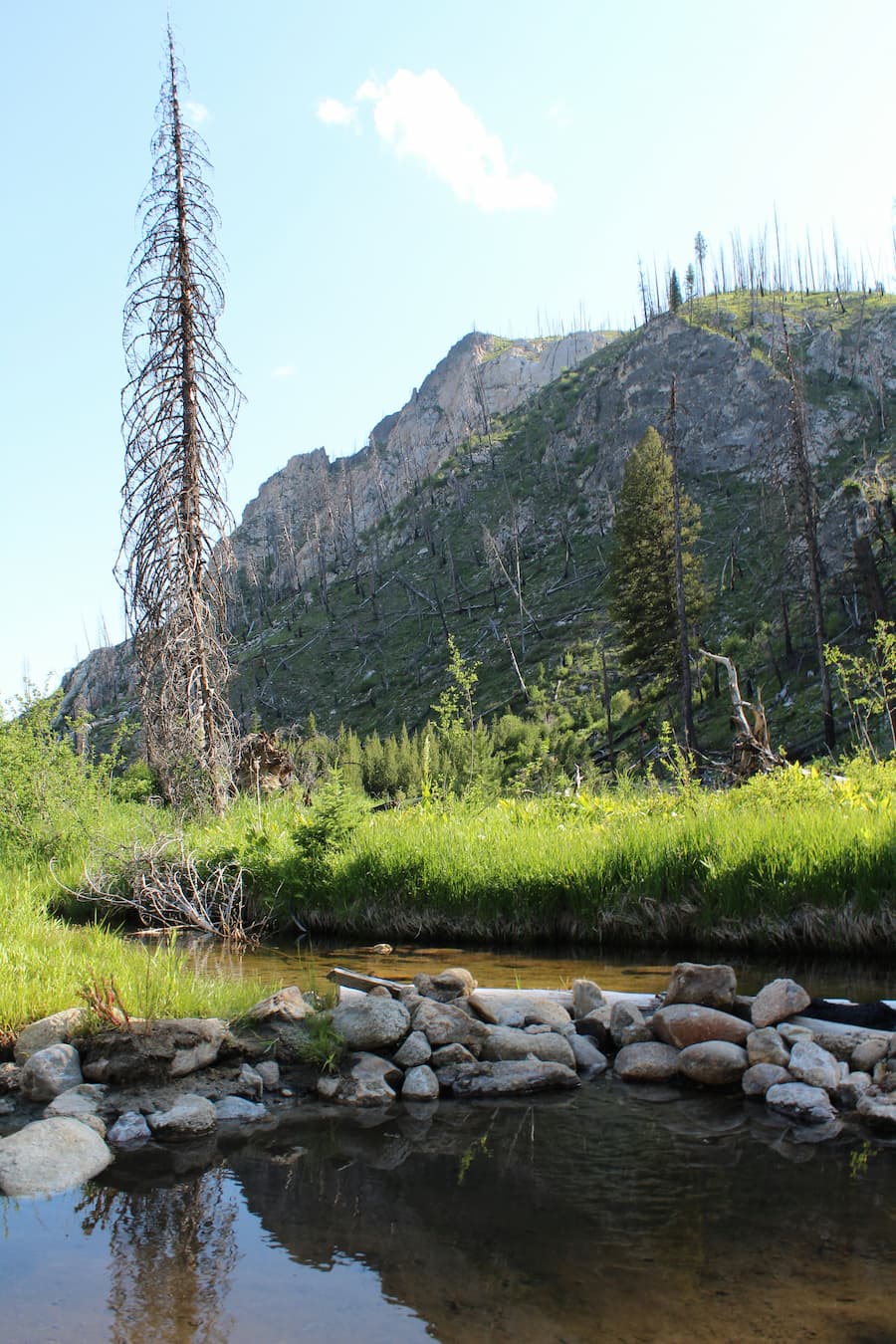 primitive hillside hot spring pools at mollys hot spring idaho