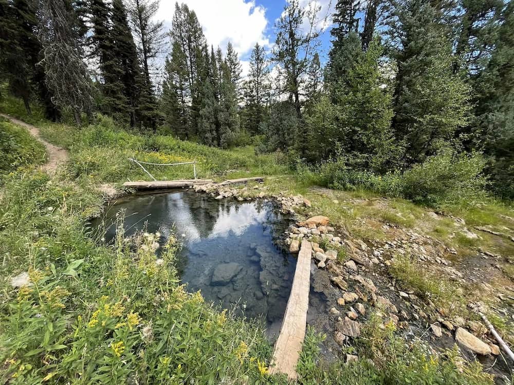 Outdoor hot spring pool in a forest meadow at bear creek hot springs idaho