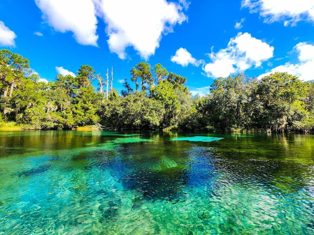 Green blue spring fed pools at rainbow springs florida