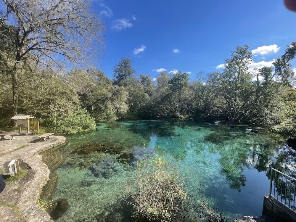 turquoise spring fed natural pools at ichetucknee springs florida