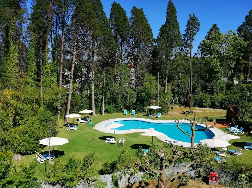 Outdoor hot spring pool with sun loungers and forest in the background at termas da curia in portugal