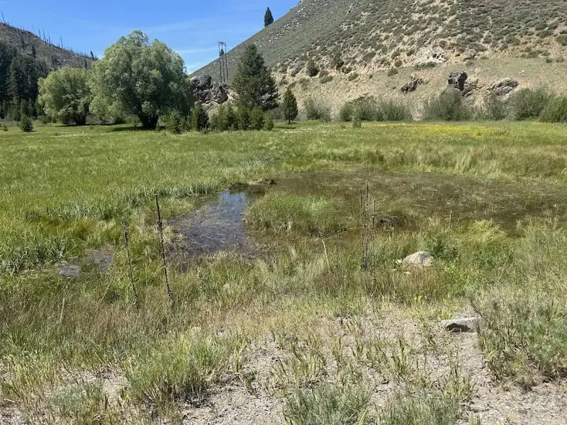 Natural hot springs in a meadow with mountains in the background at basin creek hot springs in idaho