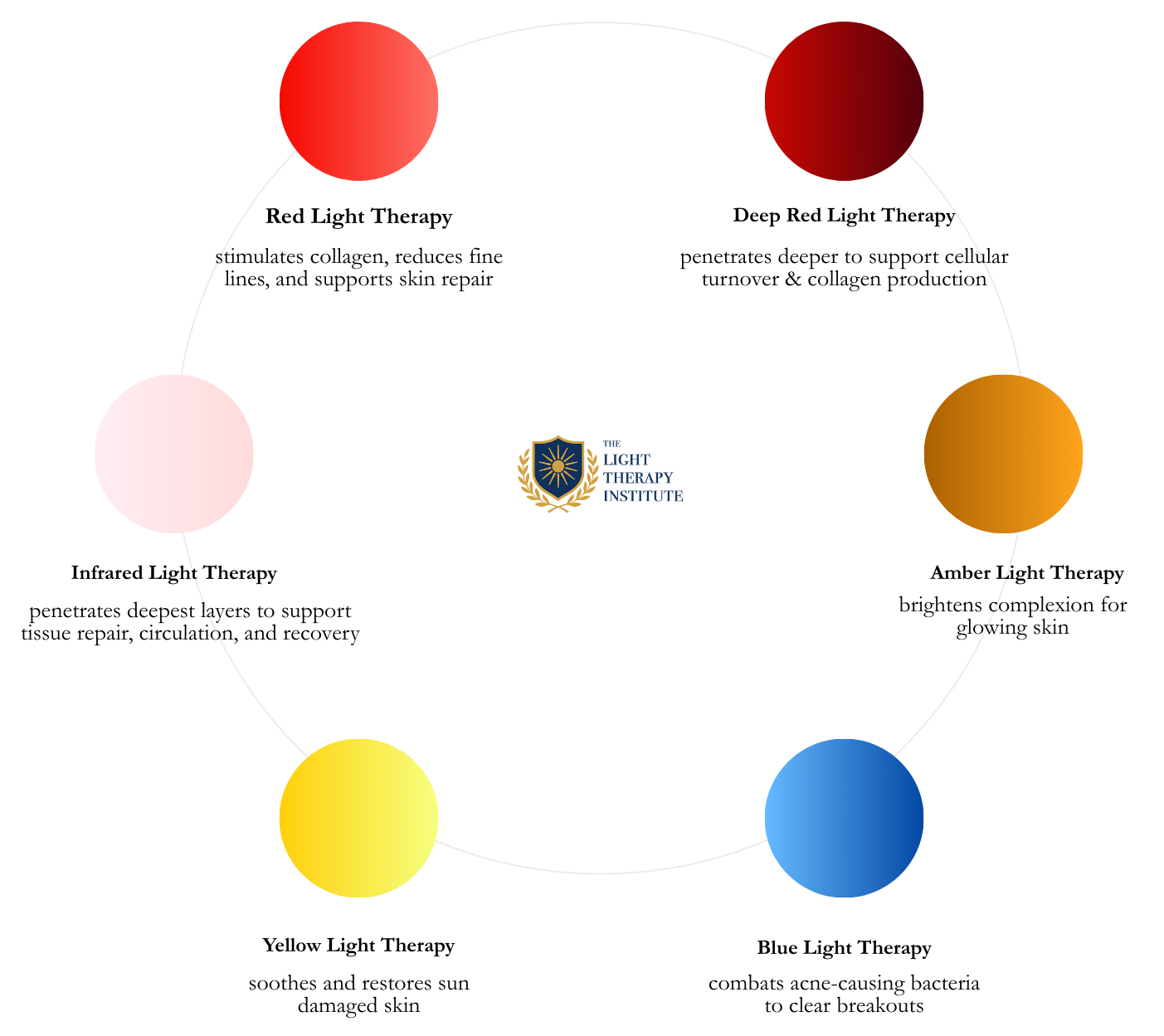 Circular chart with six colored circles around The Light Therapy Institute logo, representing different light therapy wavelengths with numeric nanometer values.