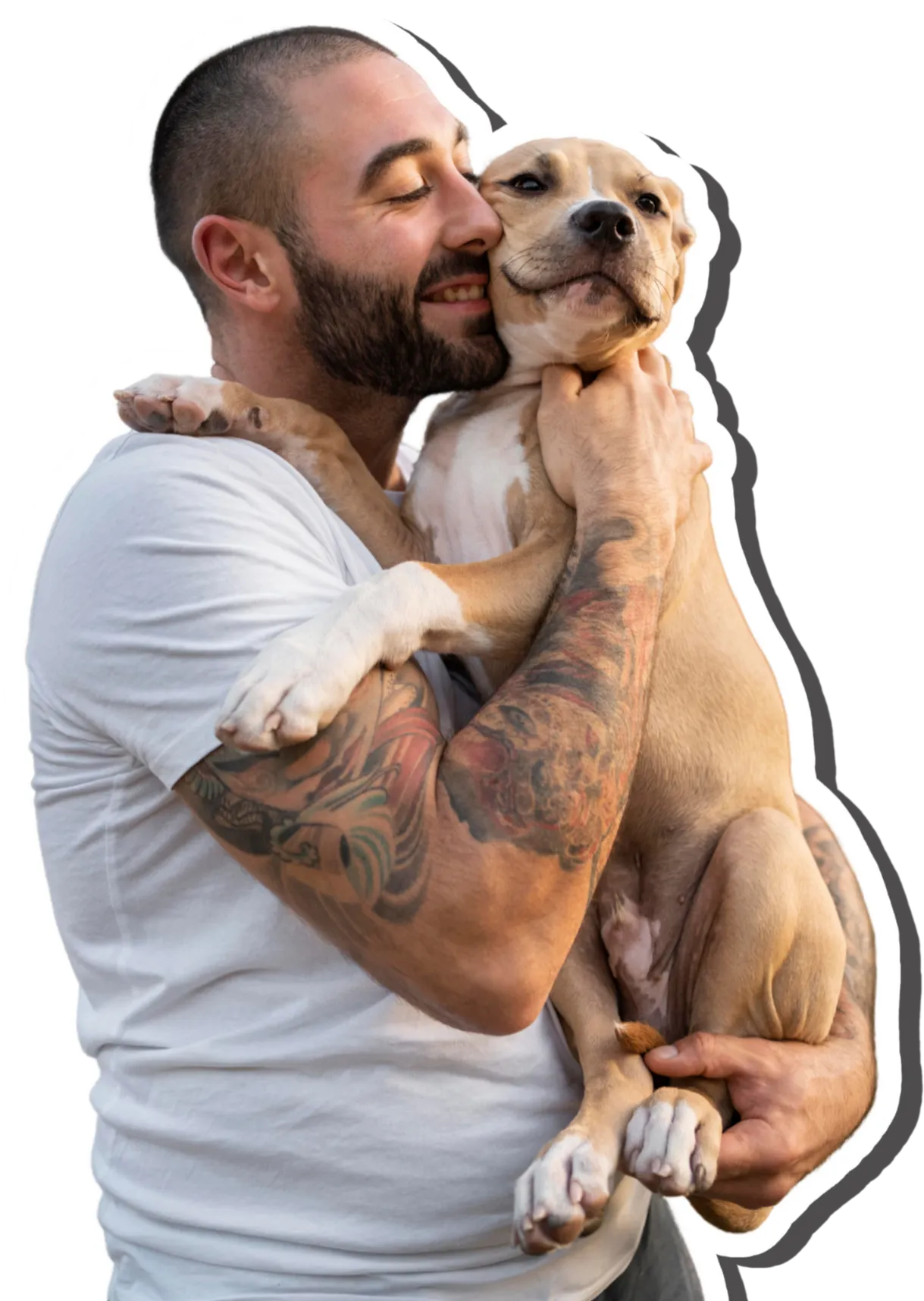 dog walking, pet care, pet sitter in houston