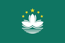 White lotus flower with stylized water waves below and yellow stars forming an arc above on a green background.