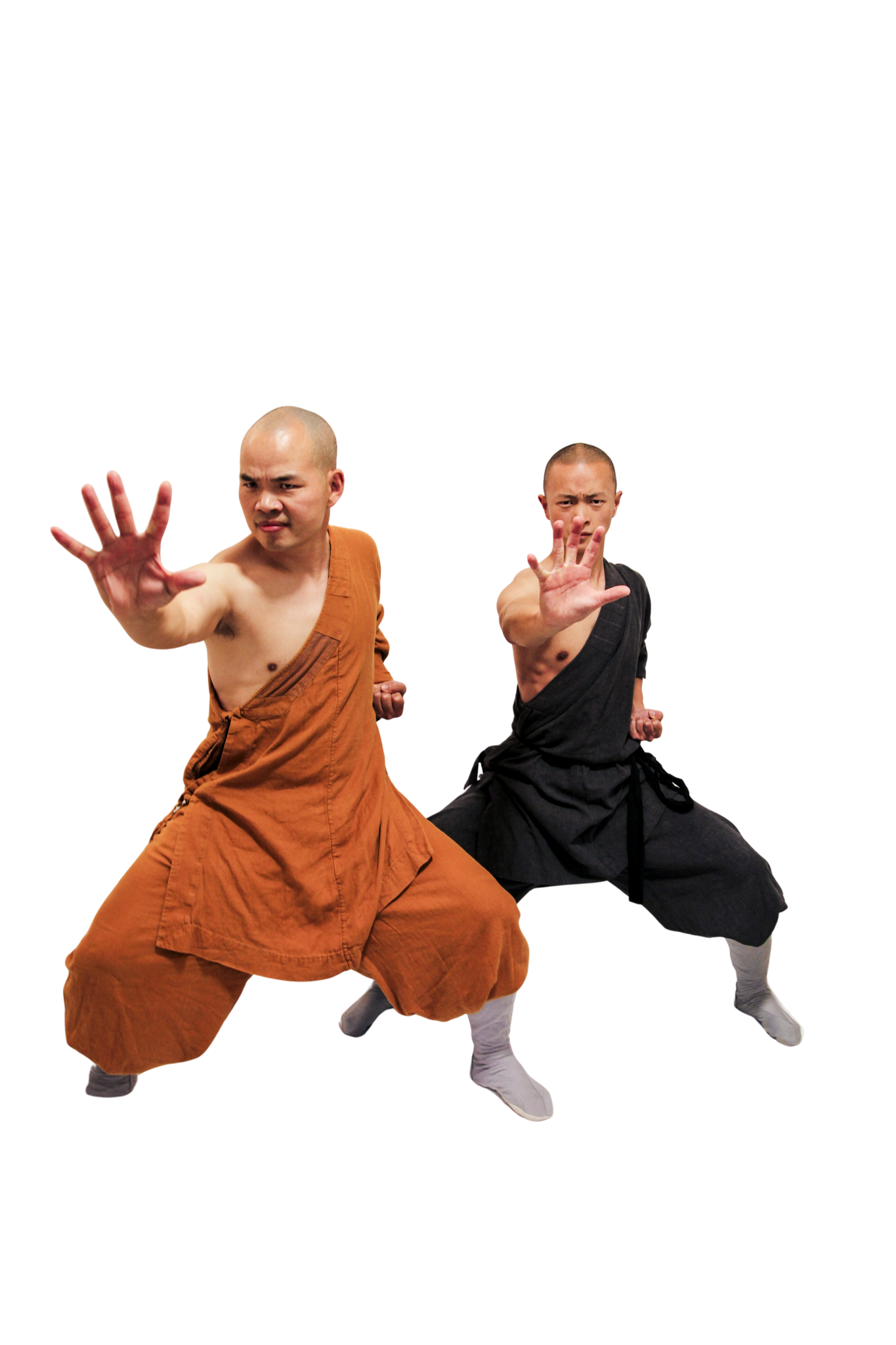 Two martial artists in traditional robes striking a forward hand stance.